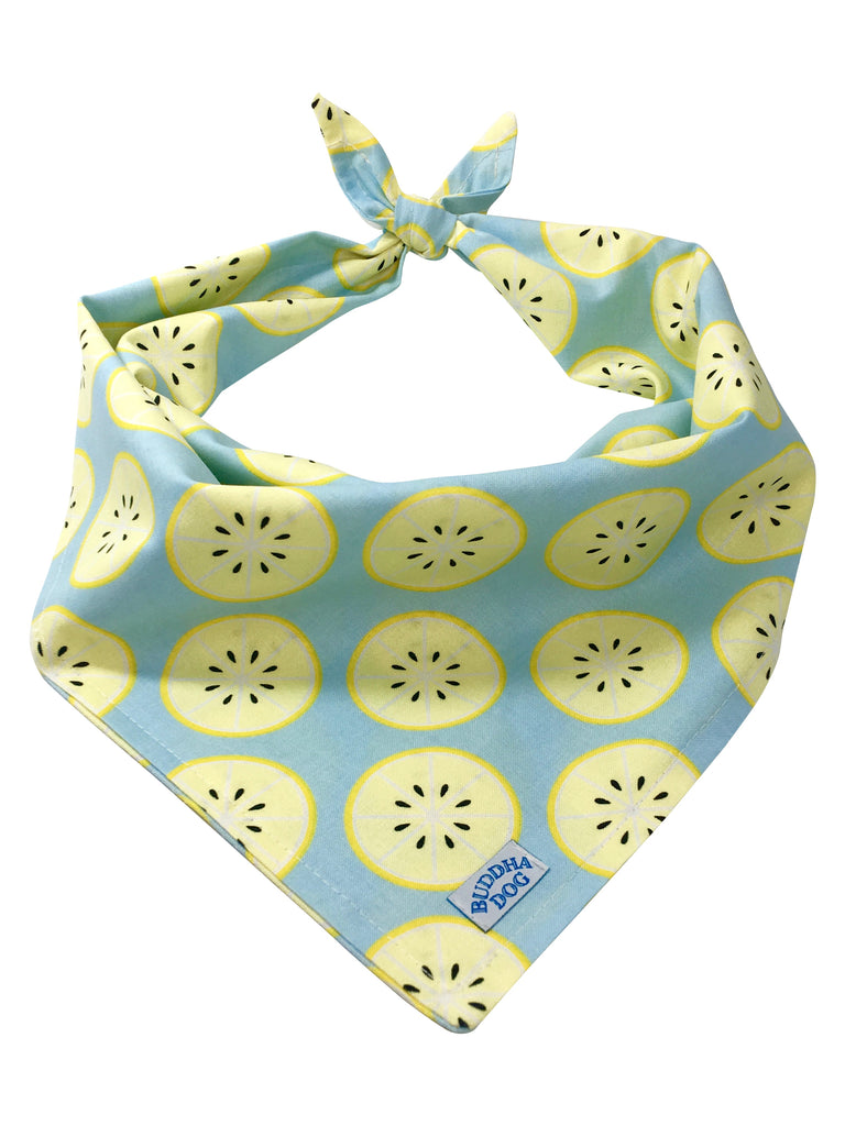 Lemon Zest Bandana