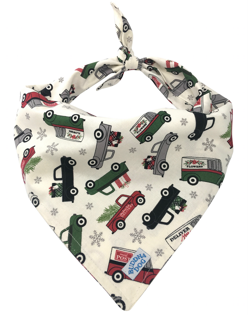 Special Delivery Bandana