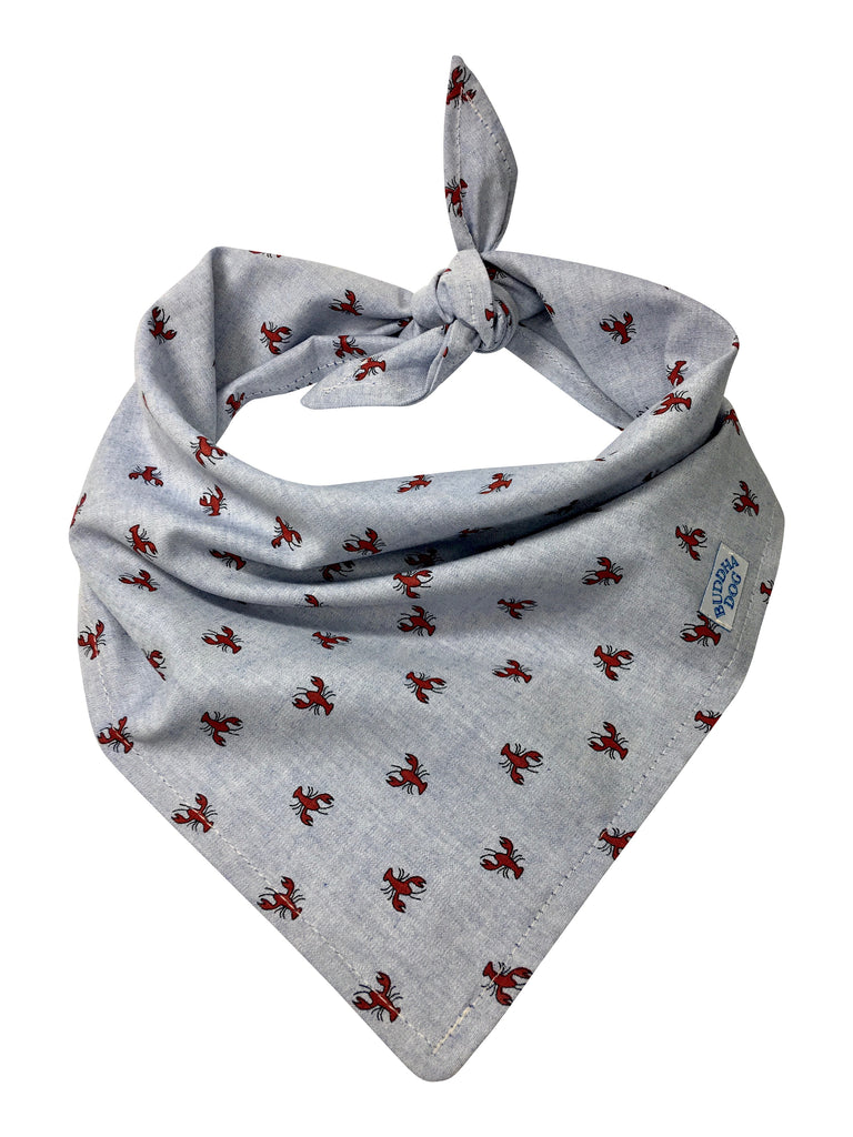 Chambray Boothbay Bandana