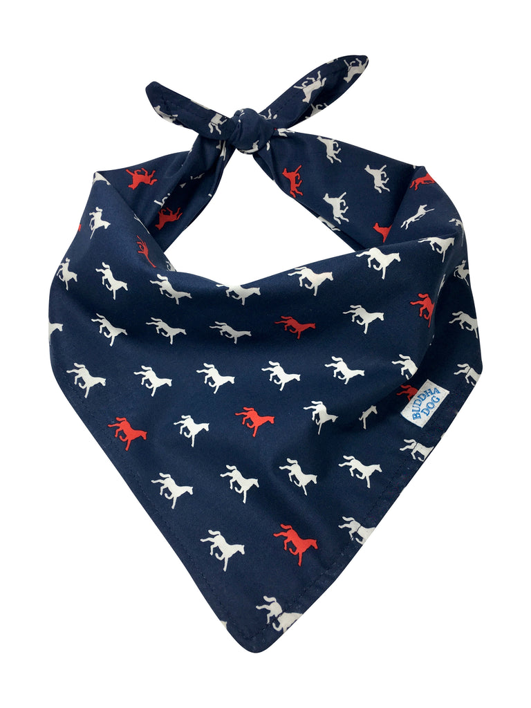 Lexington Bandana
