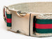 Pucci Green