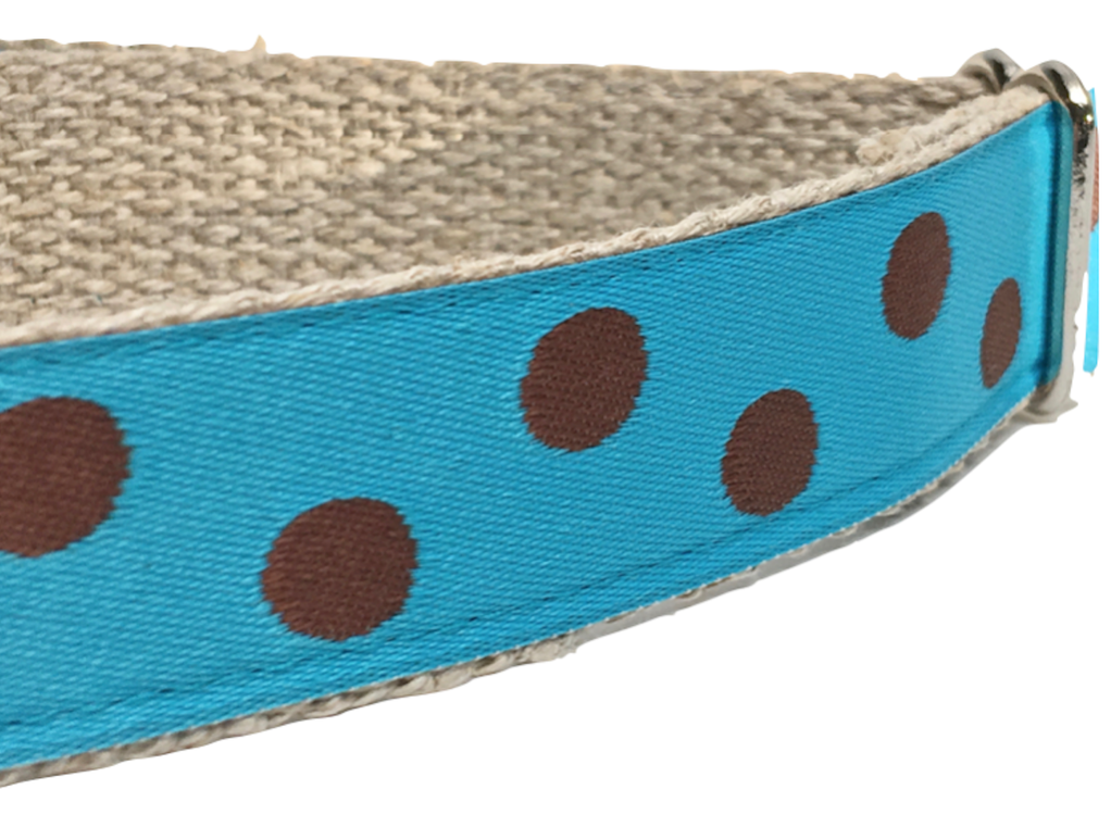 Dotty Turquoise/ Brown 1"
