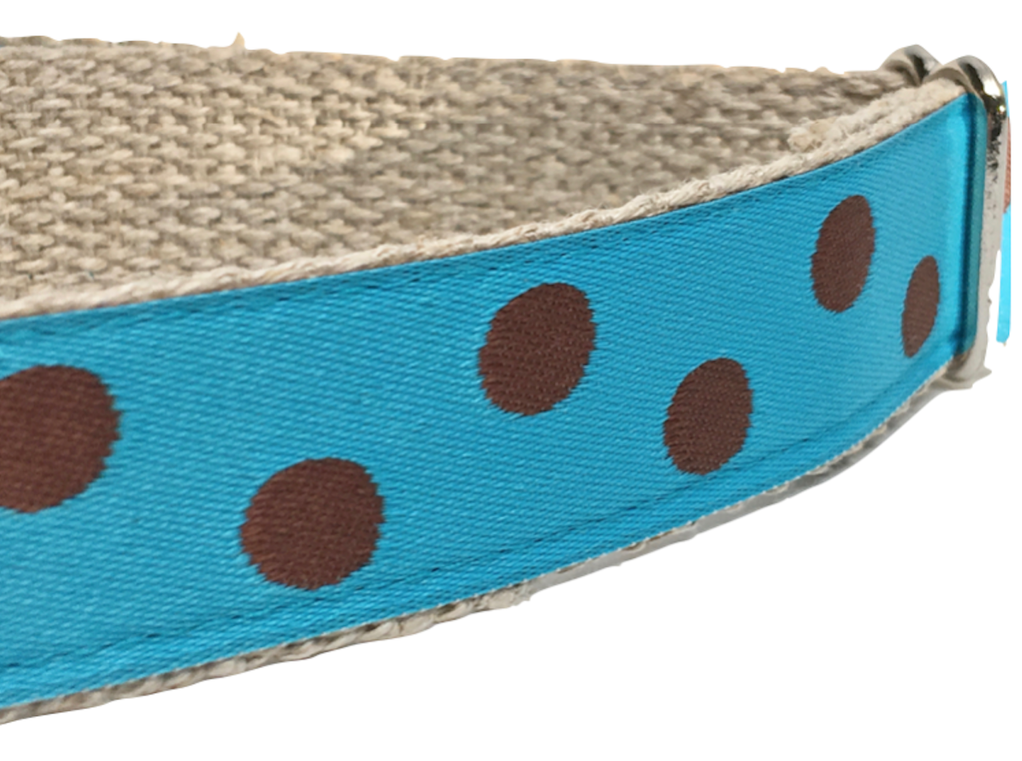 Dotty Turquoise/ Brown