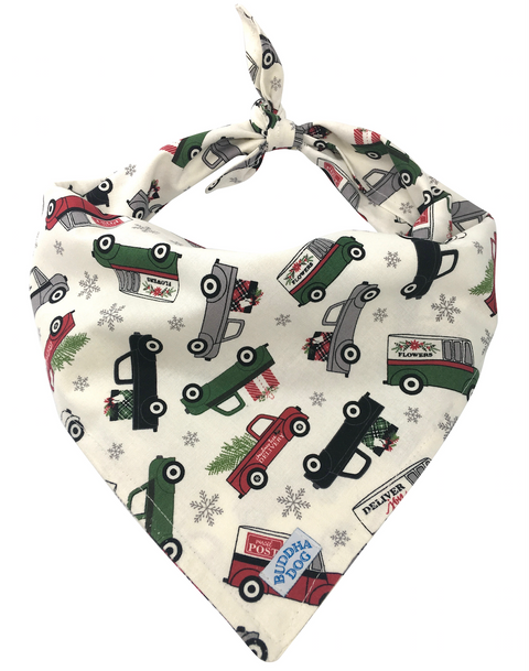 Special Delivery Bandana